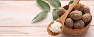 Shea butter