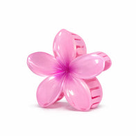 Blossom