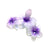 Lavender stor