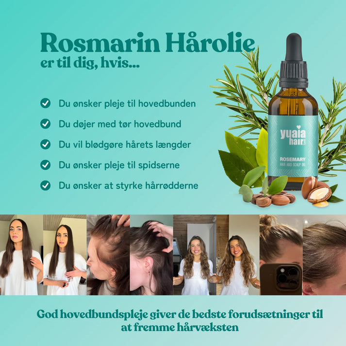 2 stk. Rosmarin hårolie + Gratis Gave